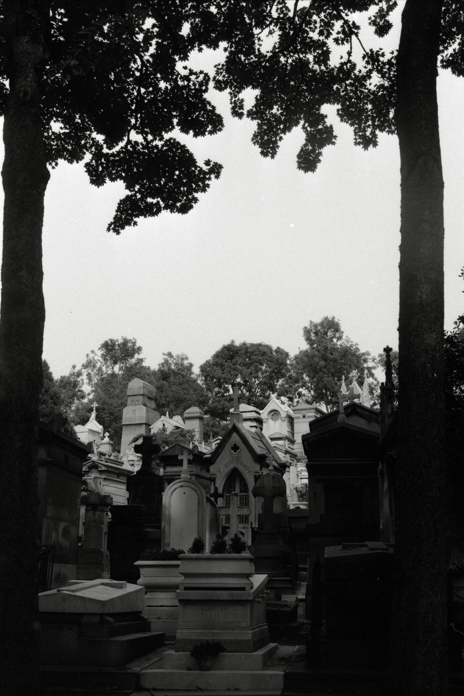 AHP F1990 09 002 sc250506 img25 NLP